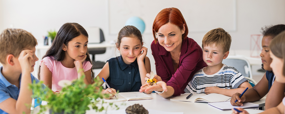 A teacher shows students a toy wasp.